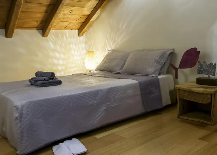 Dionysos Luxury *